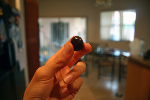 A chocolate covered macadamia... poop ball!