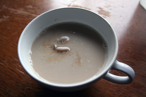A cup of almond milk with coffee ice cubes anyone?